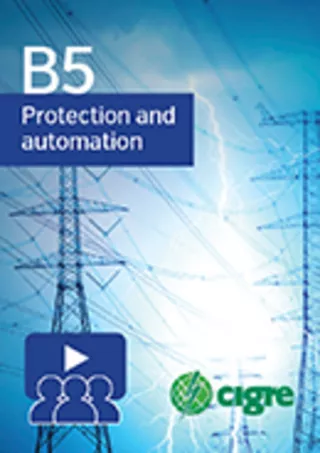 IEC 61850 based substation automation systems – Users expectations and stakeholders interactions