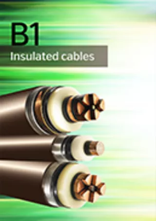 Fire issues for insulated cables in air