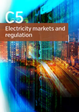 Wholesale / retail electricity market interdependencies