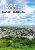 DAKAR: Electrical power systems in developing countries