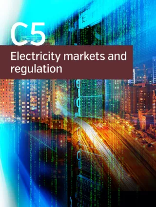 REGULATORY INCENTIVES FOR  CAPITAL INVESTMENTS IN ELECTRICITY SYSTEMS