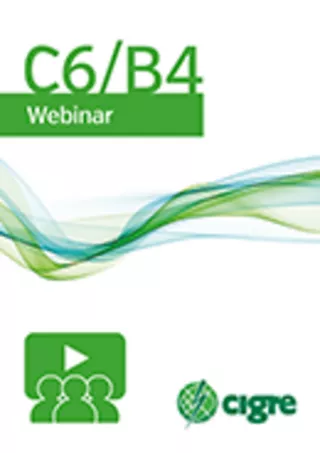 Medium Voltage DC Distribution Systems